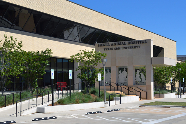 front entrance of the Small Animal Teaching Hospital at Texas A&M University