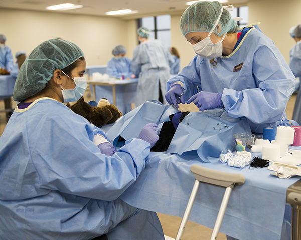 a child watches a veterinary student perform teddy bear surgery at the annual vet school open house